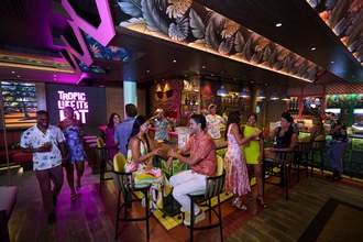 RCI, Pesky Parrot℠ , Copyrights - N Morley.jpg